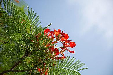 Bloober：《寂静岭2：重制版》PS5 Pro补丁仍在开发中